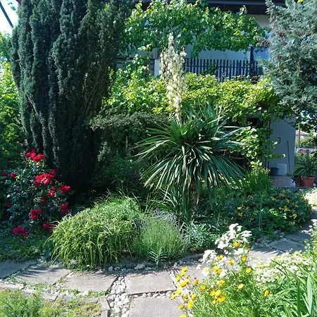 Appartamento Aniko Apartman